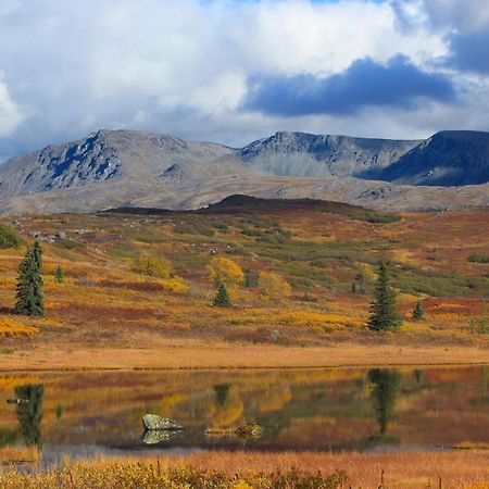 Caribou Lodge Alaska 탈키트나 외부 사진