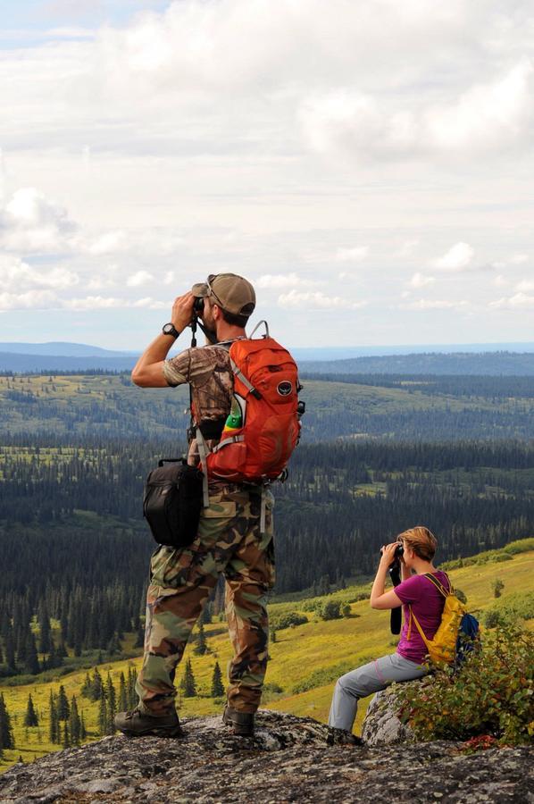 Caribou Lodge Alaska 탈키트나 외부 사진