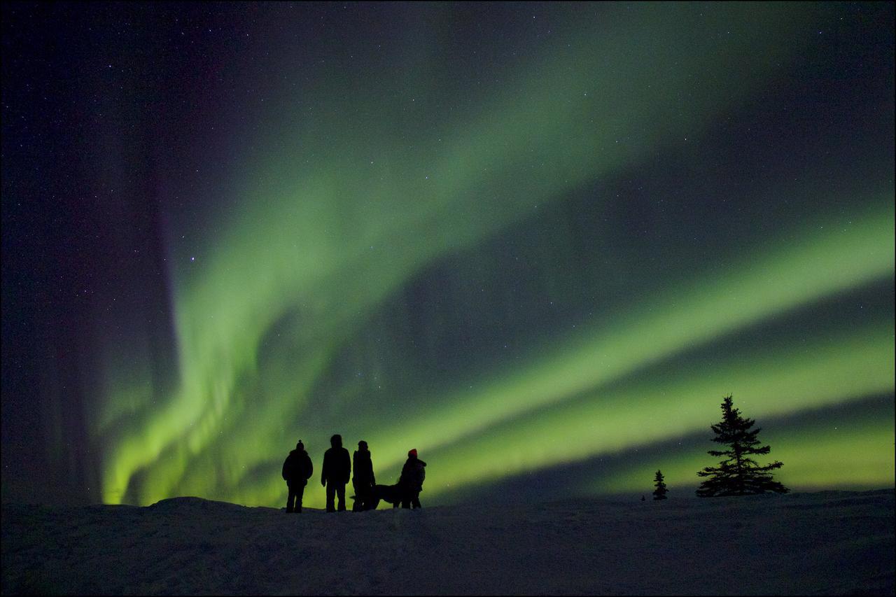 Caribou Lodge Alaska 탈키트나 외부 사진
