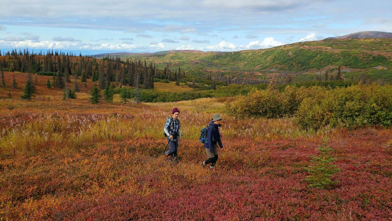 Caribou Lodge Alaska 탈키트나 외부 사진