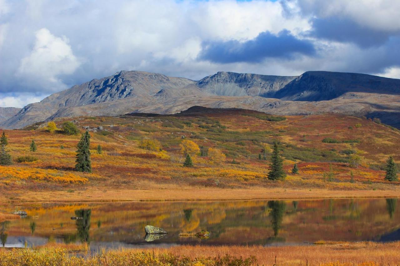 Caribou Lodge Alaska 탈키트나 외부 사진