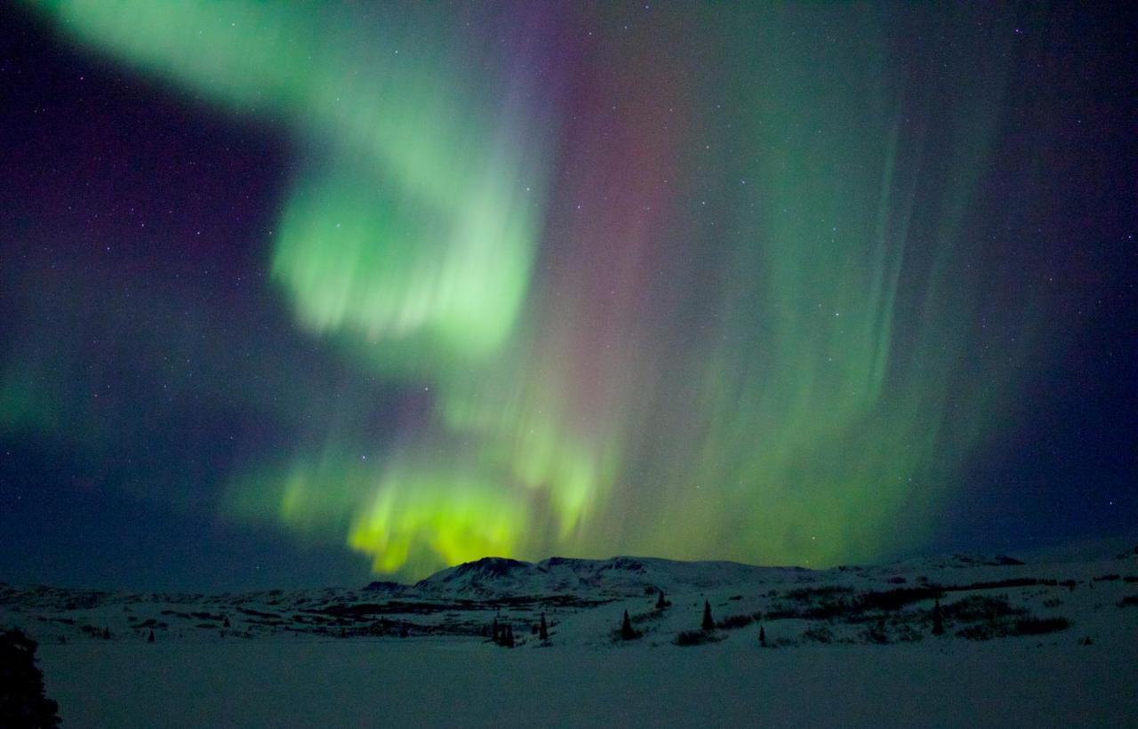 Caribou Lodge Alaska 탈키트나 외부 사진