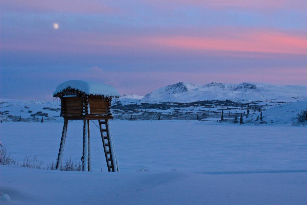 Caribou Lodge Alaska 탈키트나 외부 사진