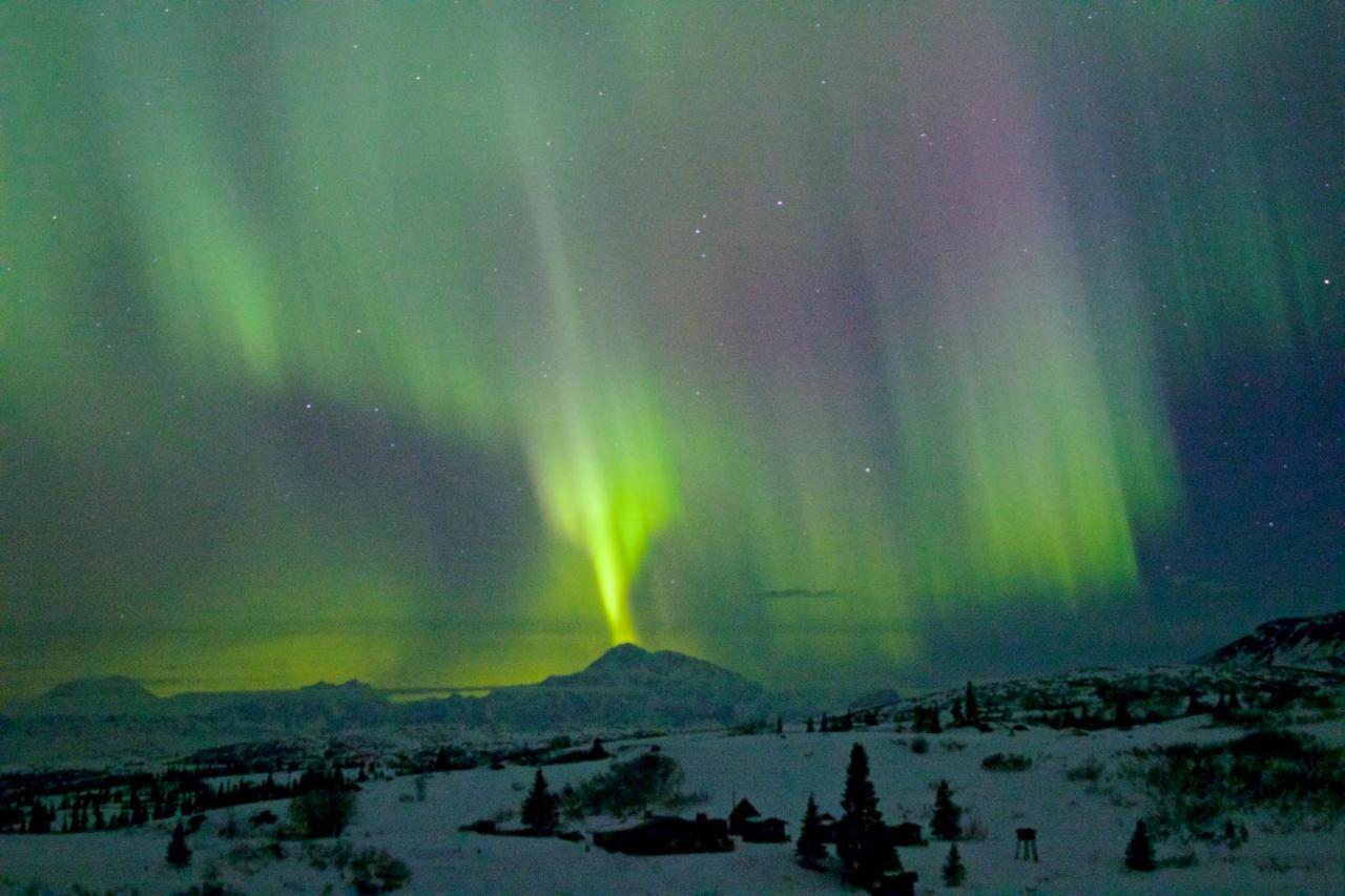 Caribou Lodge Alaska 탈키트나 외부 사진