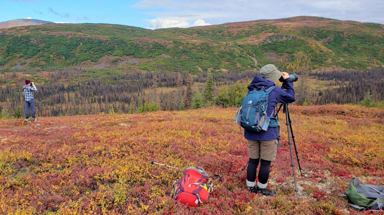 Caribou Lodge Alaska 탈키트나 외부 사진
