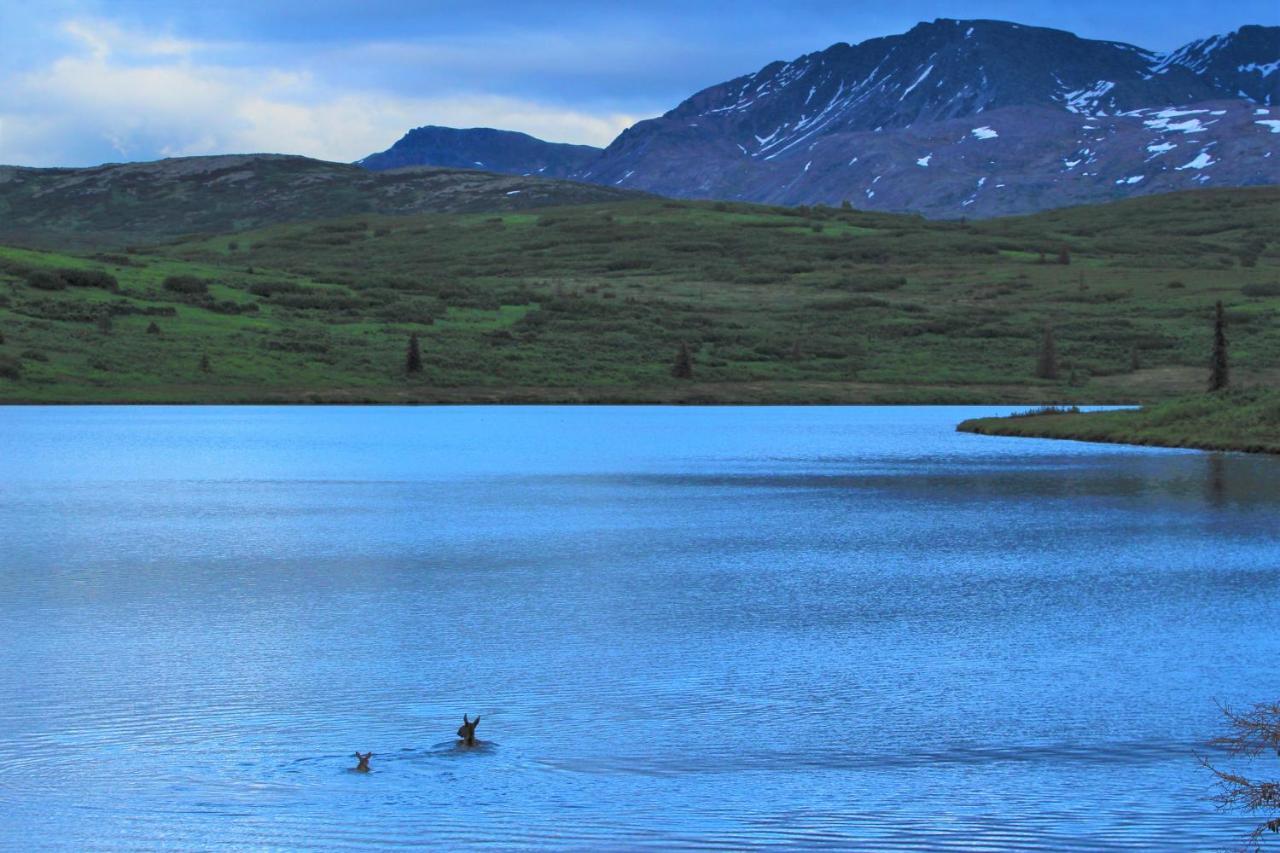Caribou Lodge Alaska 탈키트나 외부 사진