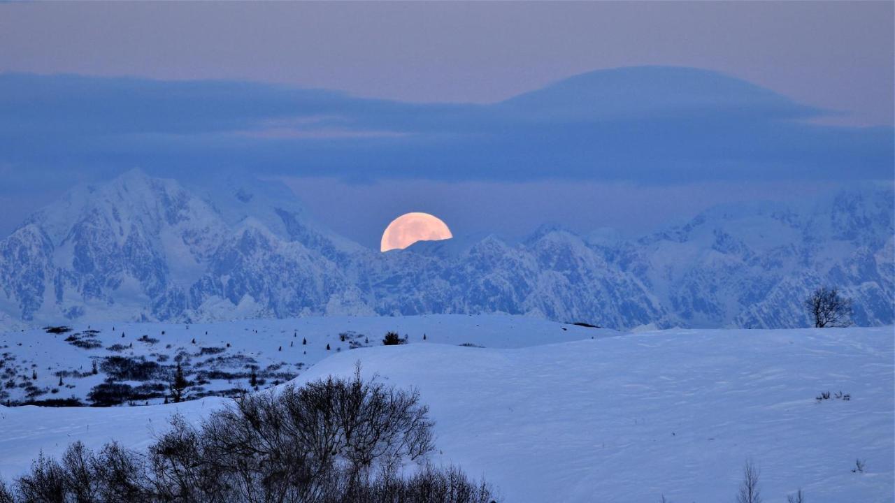 Caribou Lodge Alaska 탈키트나 외부 사진