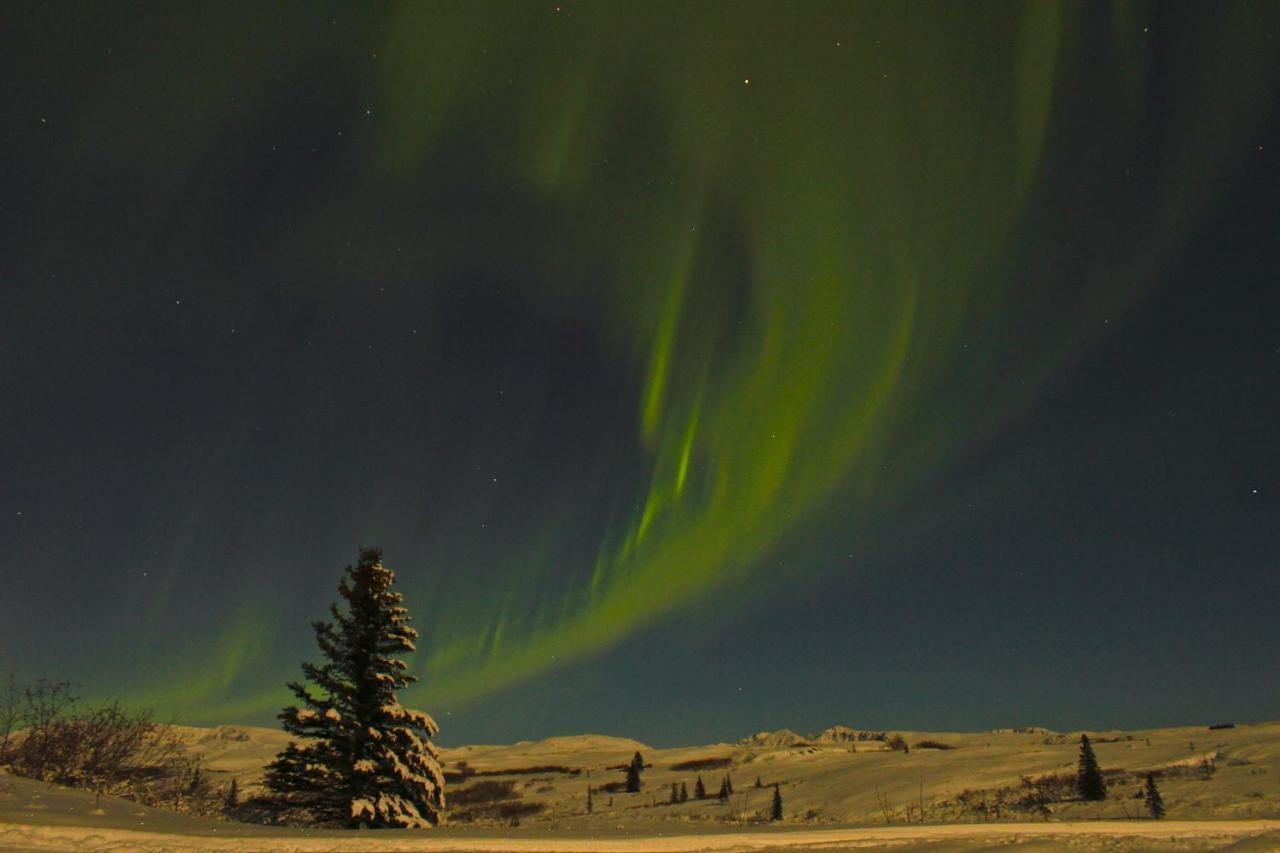 Caribou Lodge Alaska 탈키트나 외부 사진